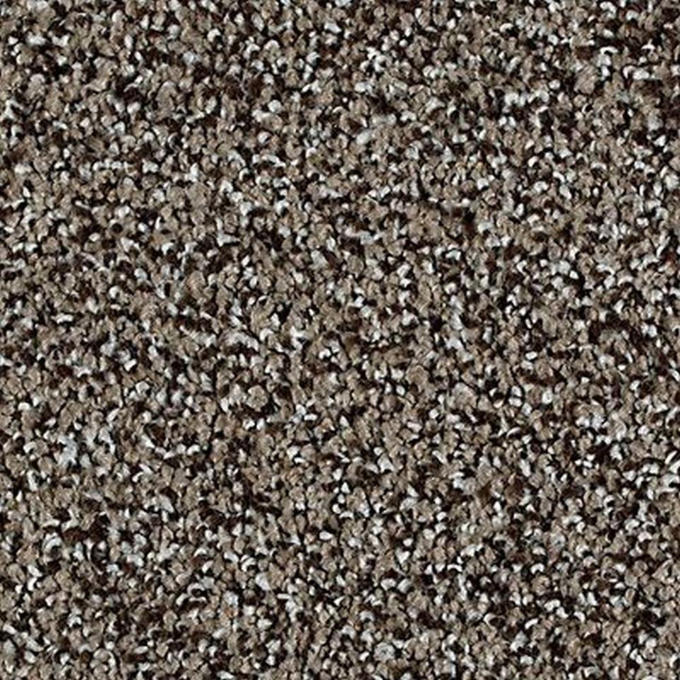 Textured Saxony Arrowwood Gray Carpet