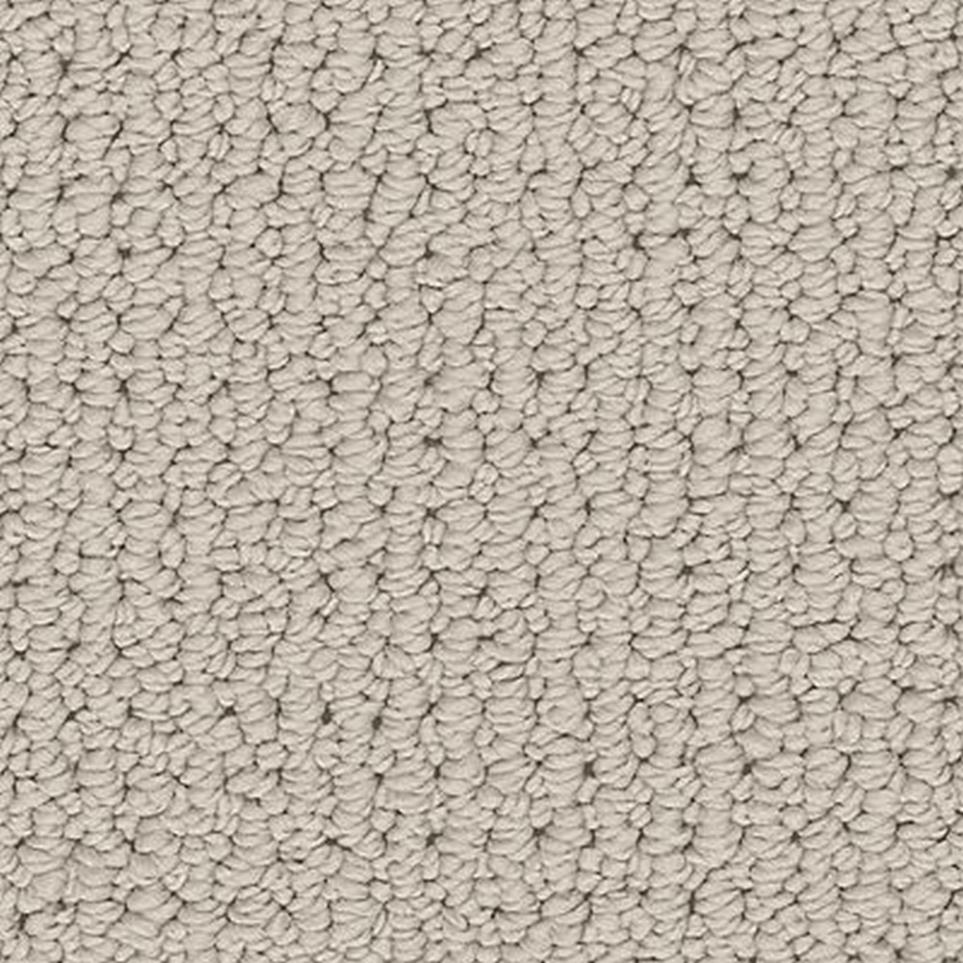 Loop Perfect Greige Beige/Tan Carpet