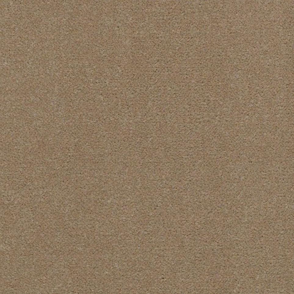 Cut Pile Biscuit Beige/Tan Carpet