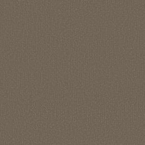 Pattern Cottage Gray Carpet