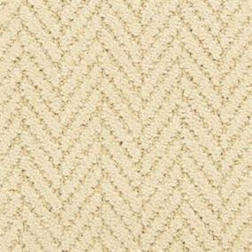 Pattern Stylish Beige/Tan Carpet
