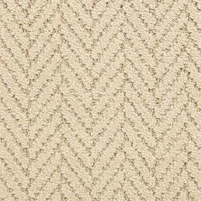 Pattern Shadow Taupe Beige/Tan Carpet