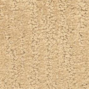 Pattern Sienna Beige/Tan Carpet