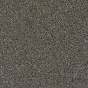 Textured Saxony On A Mission Brown Carpet