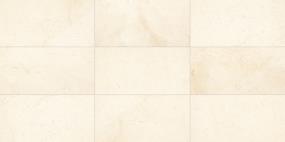 Tile Latte Honed Beige/Tan Tile