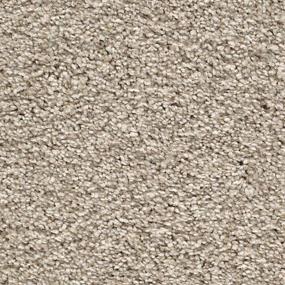 Textured Saxony Radiance Brown Carpet