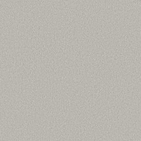 Texture Mineral Gray Carpet