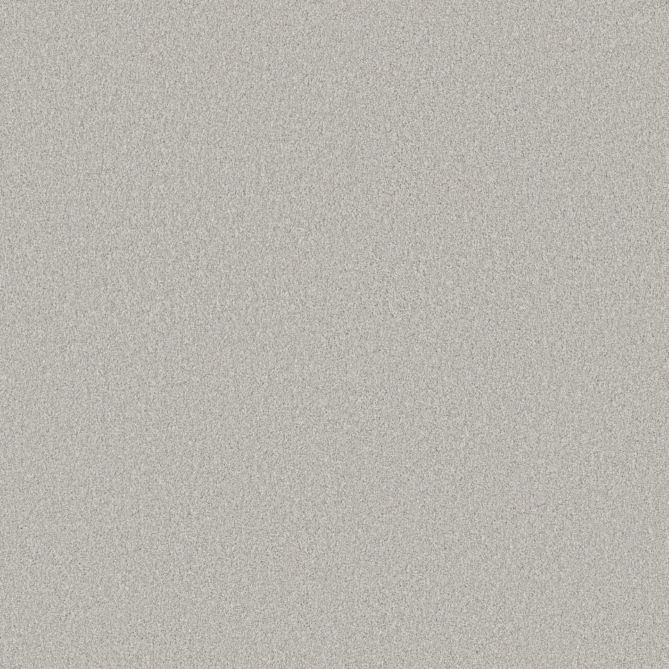 Texture Mineral Gray Carpet