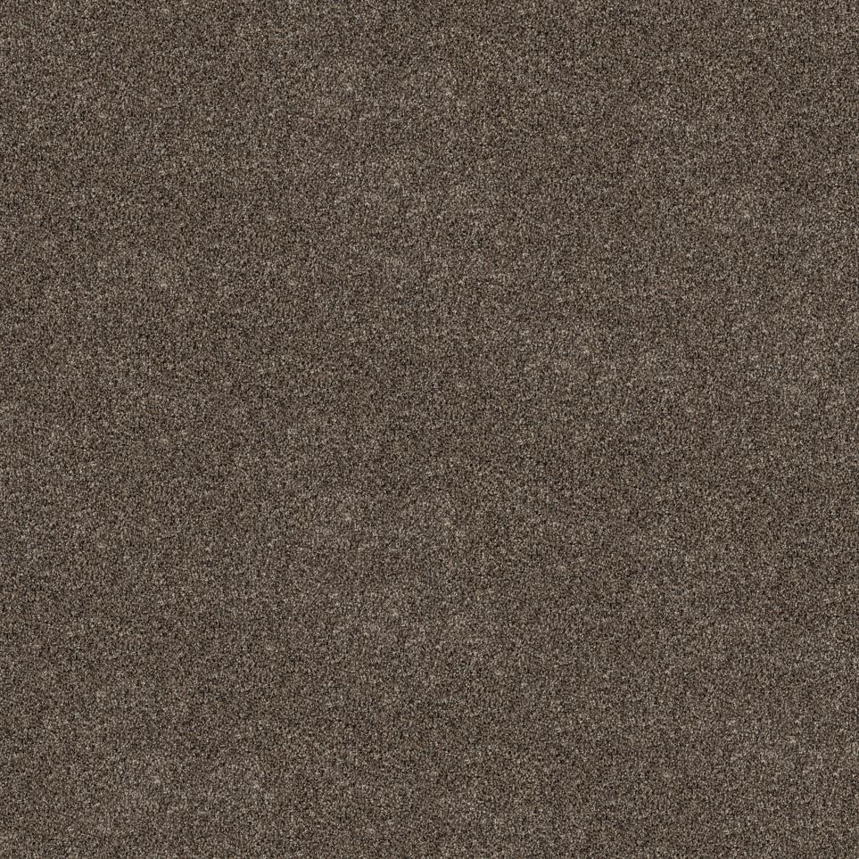 Textured Saxony October On Cape Cod Brown Carpet