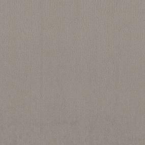 Pattern Pinecone Beige/Tan Carpet