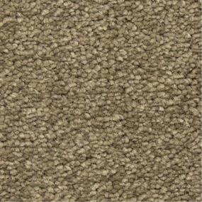 Casual Texture Cafe Brown Carpet