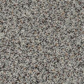 Textured Saxony Ancient Marble Gray Carpet