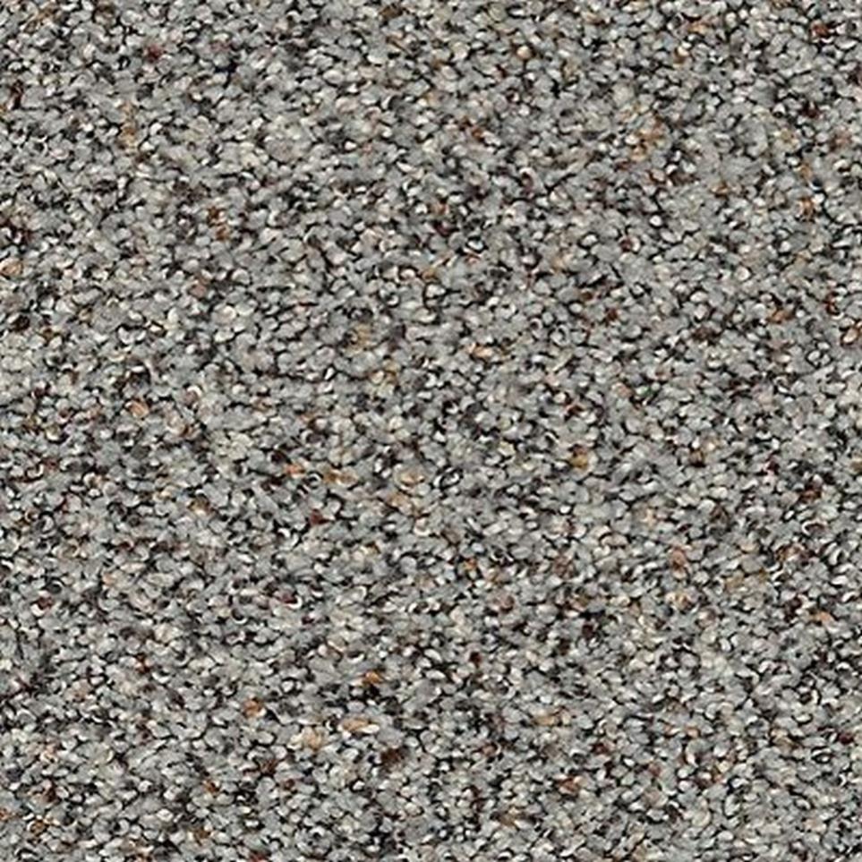 Textured Saxony Ancient Marble Gray Carpet