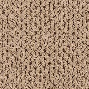 Loop Camel Beige/Tan Carpet