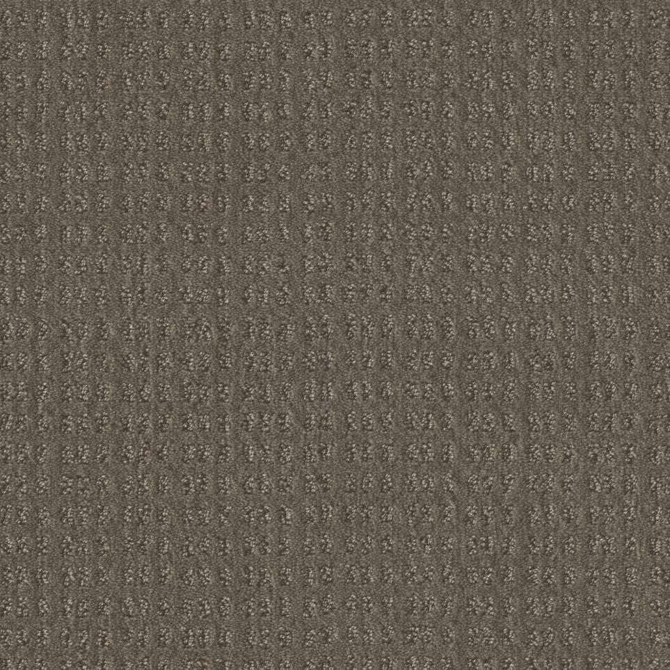 Pattern Broth Brown Carpet