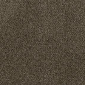 Textured Saxony Treasure Brown Carpet
