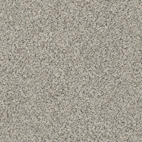Texture Oxford Gray Carpet