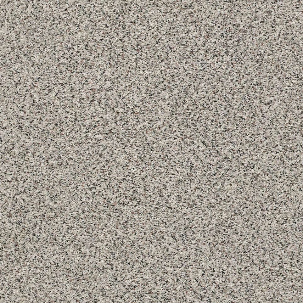 Texture Oxford Gray Carpet