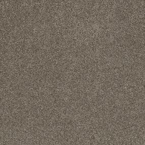 Wood Grain 12 Texture Carpet Springer Ii Accent Prosource Whole