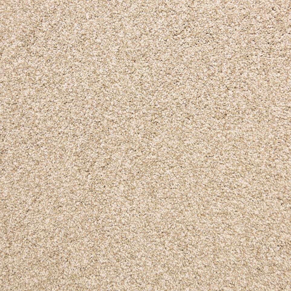 Texture Mocha Beige/Tan Carpet