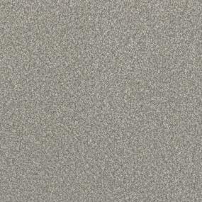 Textured Saxony Most Desired Beige/Tan Carpet