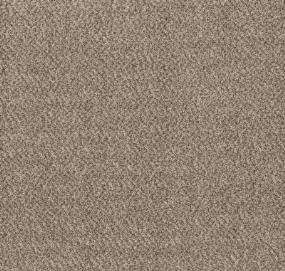 Desert Haze Beige/Tan Carpet