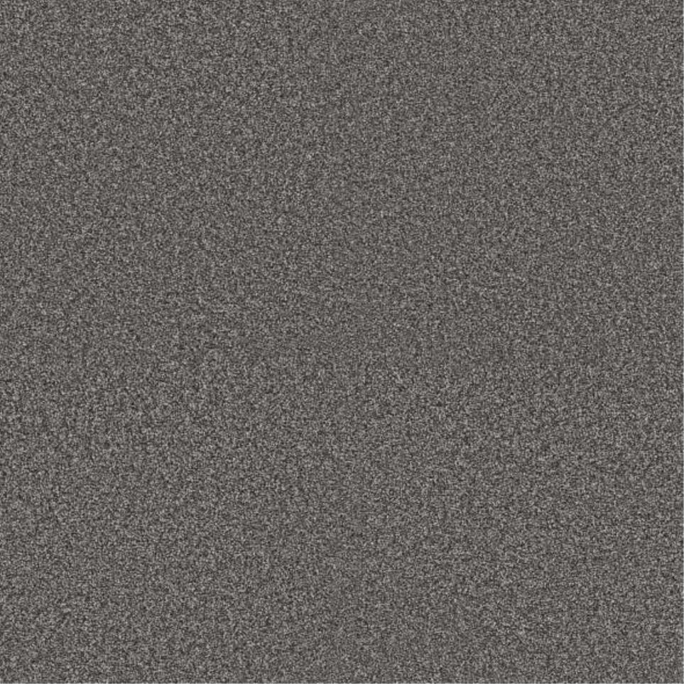Plush Saxony Magnetic Gray Carpet