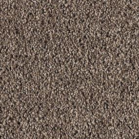 Textured Saxony Regal Brown Carpet