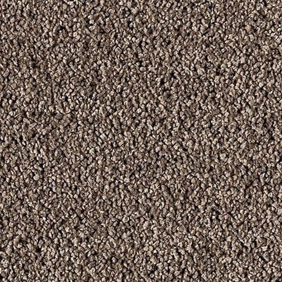 Textured Saxony Regal Brown Carpet