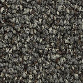 Pattern Enchanted Gray Carpet