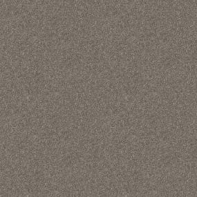 Textured Saxony Peppered Tan Beige/Tan Carpet