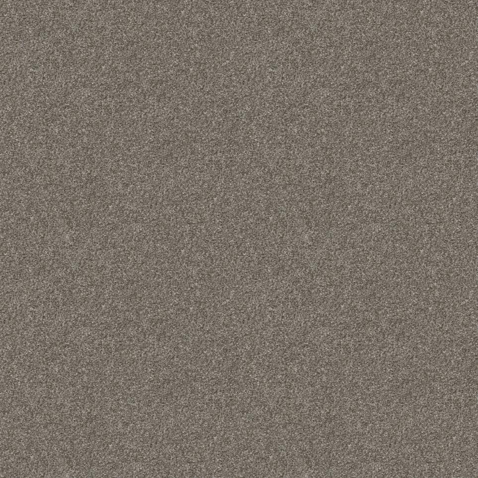 Texture Peppered Tan Beige/Tan Carpet