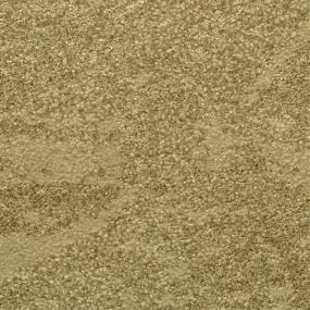 Pattern Palms Beige/Tan Carpet