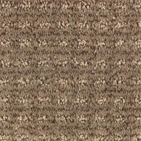 Pattern Dockside Brown Carpet