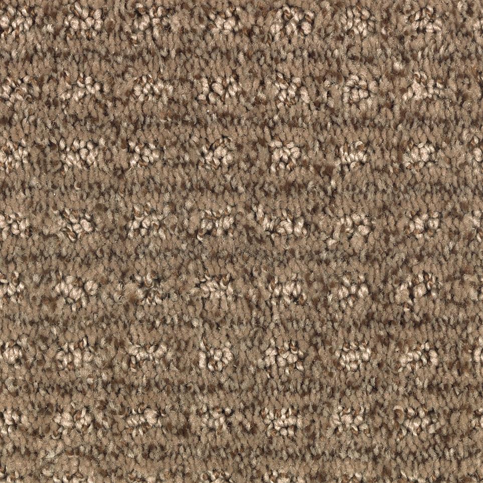 Pattern Dockside Brown Carpet