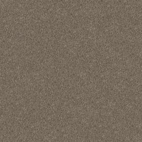 Casual Texture Scotch Beige/Tan Carpet