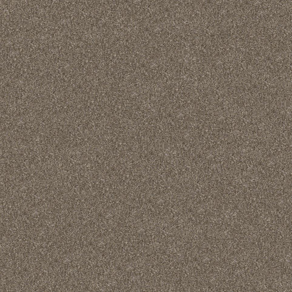 Casual Texture Scotch Beige/Tan Carpet