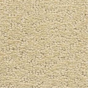 Pattern Bonanza Beige/Tan Carpet