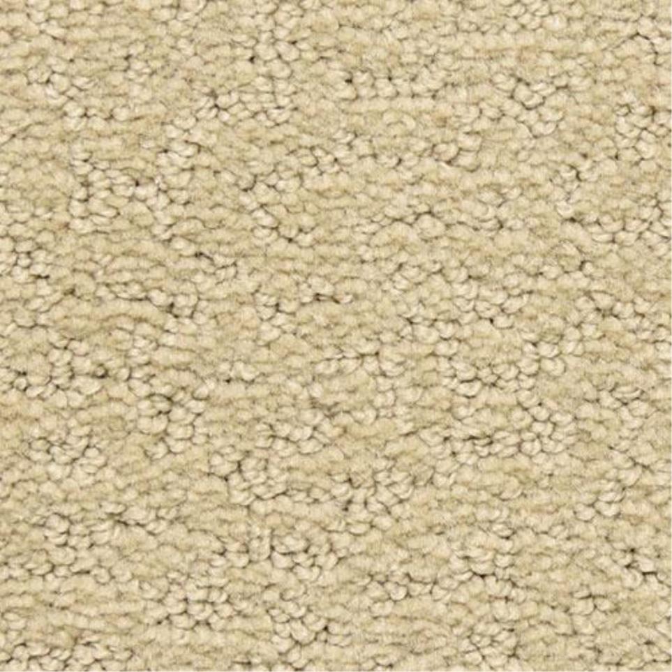 Pattern Bonanza Beige/Tan Carpet