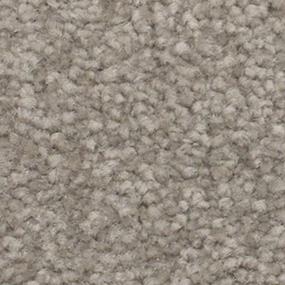Textured Saxony Contempo Beige/Tan Carpet
