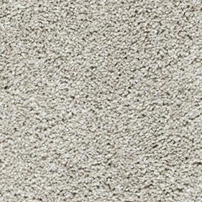 Textured Saxony Mushroom Beige/Tan Carpet