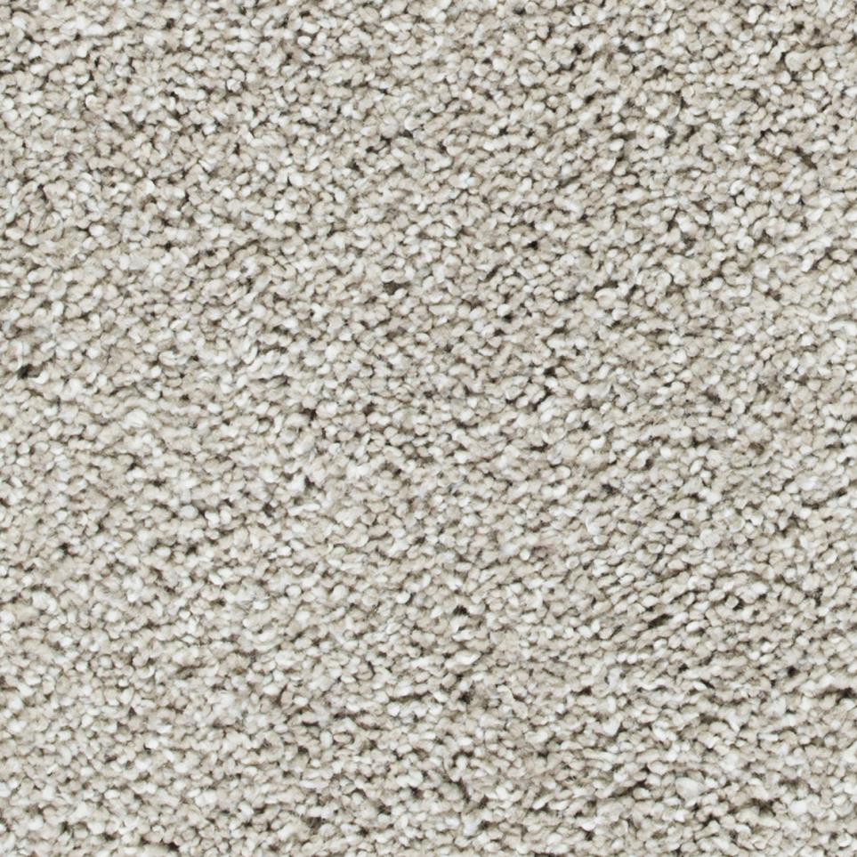 Textured Saxony Mushroom Beige/Tan Carpet