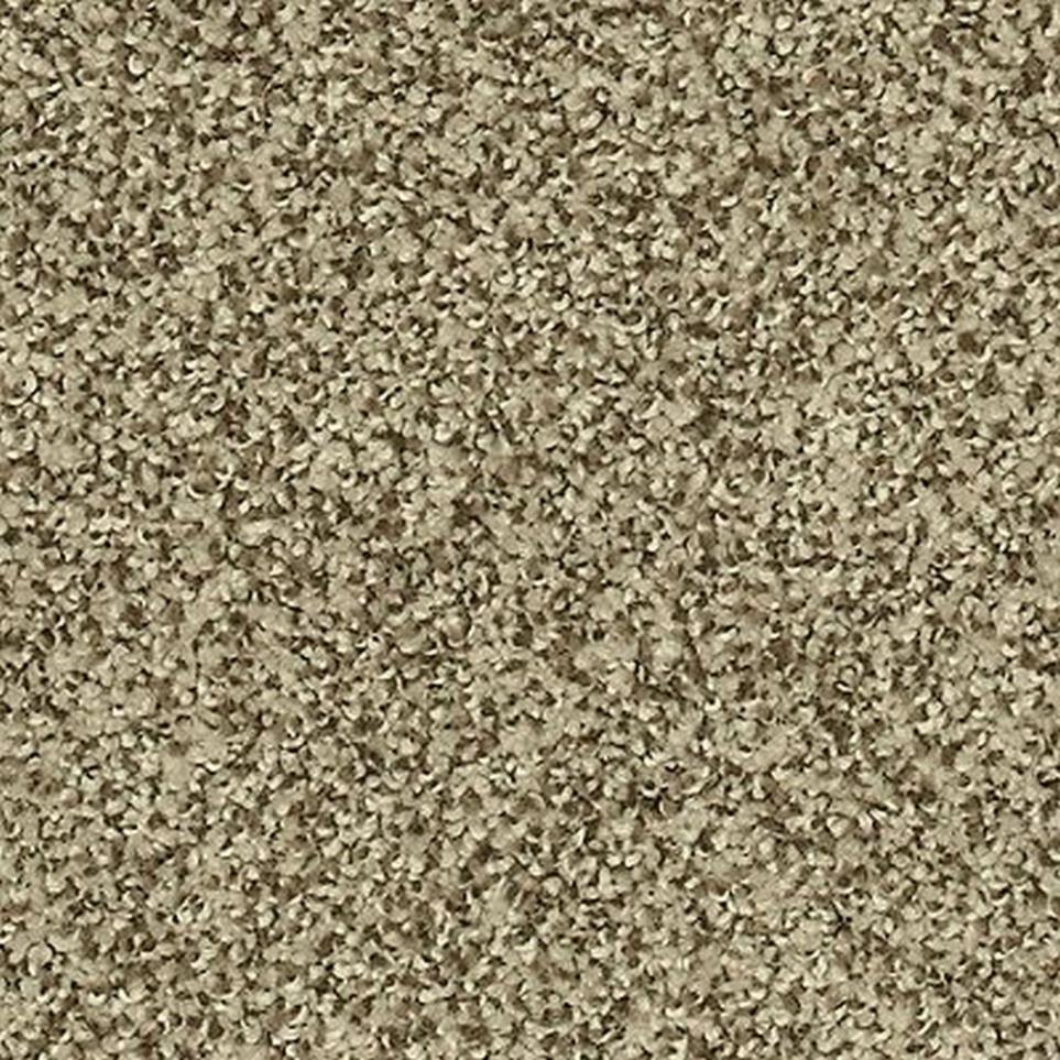 Textured Saxony Bali Beige/Tan Carpet