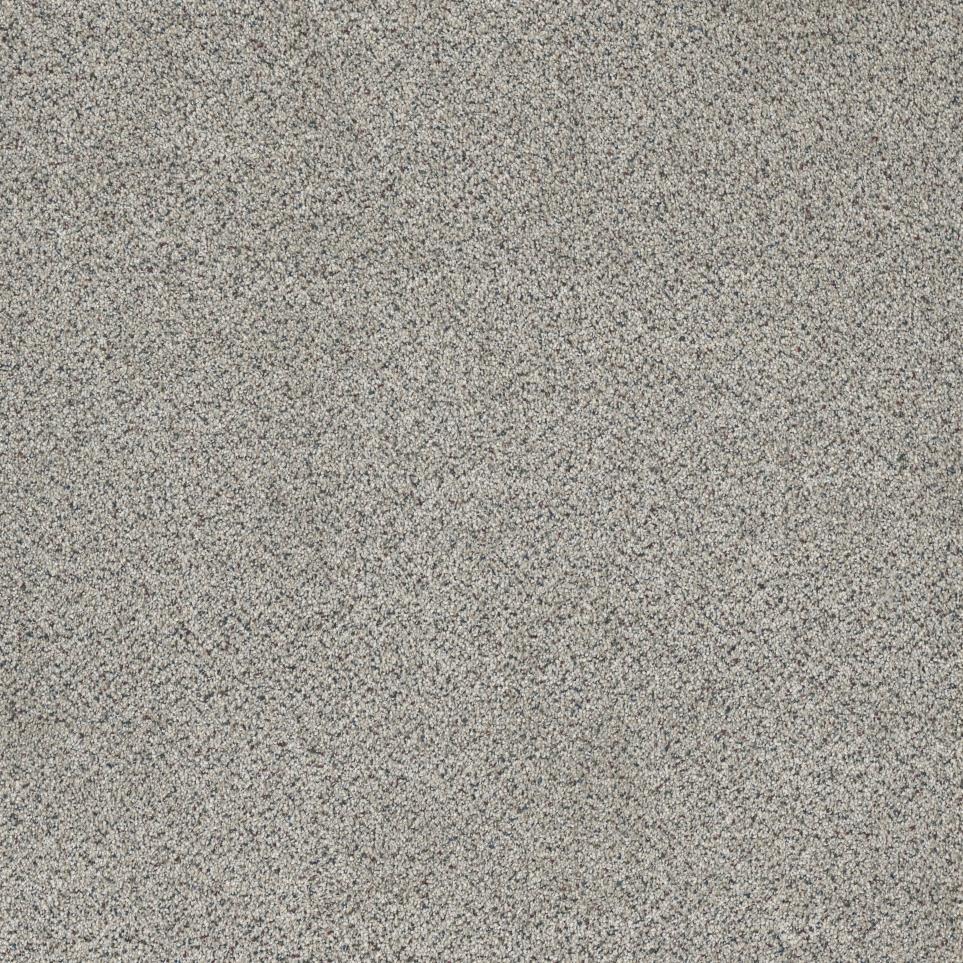 Textured Saxony Crowned Gray Carpet