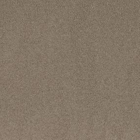 Textured Saxony Palm Springs Brown Carpet