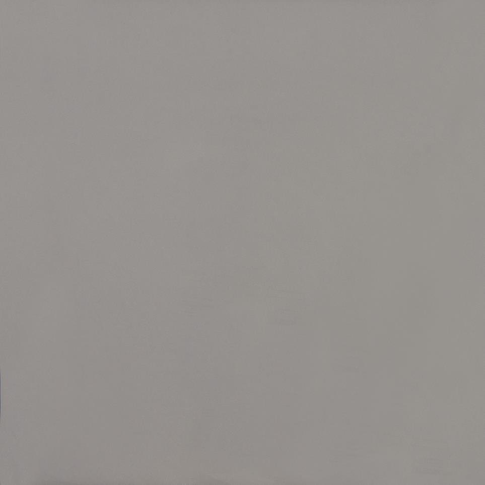 Tile Lead Polished Gray Tile