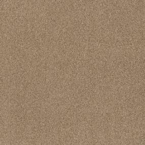 Casual Texture Honeycomb Beige/Tan Carpet