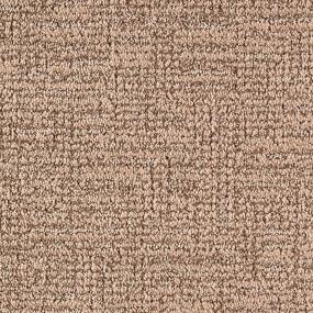 Pattern Mushroom Brown Carpet
