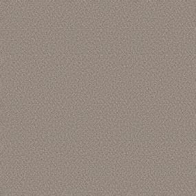 Textured Saxony Happy Times Beige/Tan Carpet