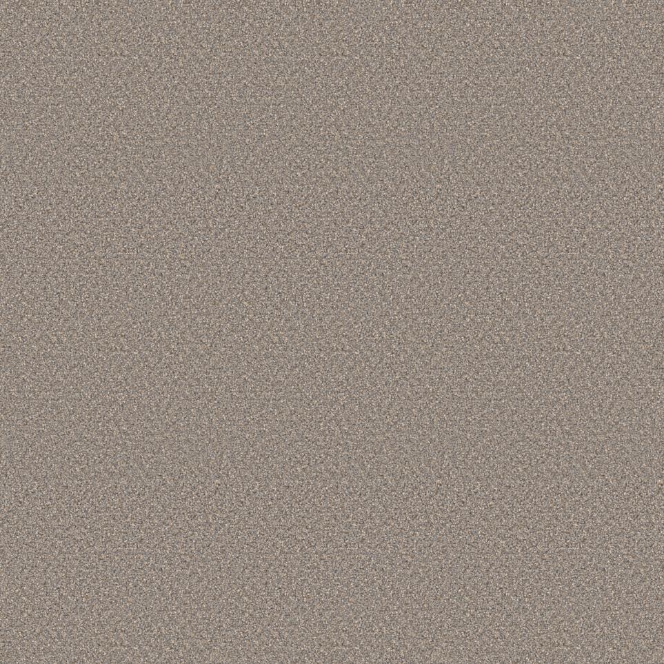 Textured Saxony Happy Times Beige/Tan Carpet